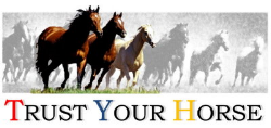 Trust-your-Horse