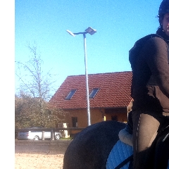 Trust-your-Horse Anreite-Coaching