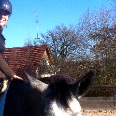 Trust-your-Horse Anreite-Coaching