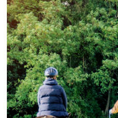 Trust-your-Horse Geländetraining