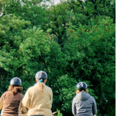 Trust-your-Horse Geländetraining