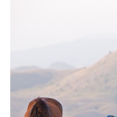 Trust-your-Horse Mentalcoaching