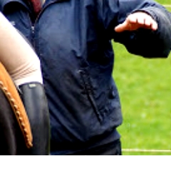 Trust-your-Horse Reitunterricht | Pferdetraining