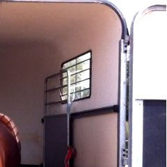 Trust-your-Horse Verladetraining